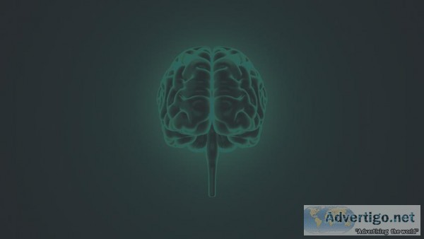Midbrain Function Psychology