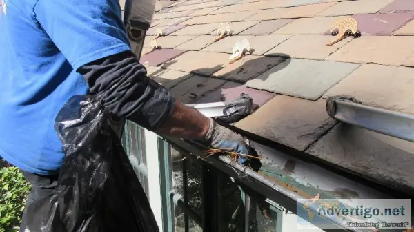 Are You Looking the Best Home Gutter Repair