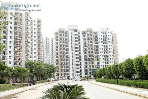 Affordable Price 2 BHK (815 sq.ft) Apart. with Panchsheel Primro