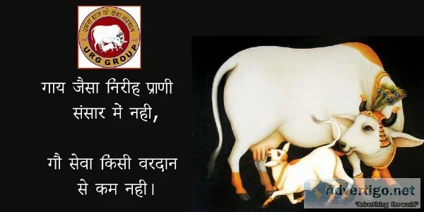 UMESHRAJ GO SEVA SANSTHAN