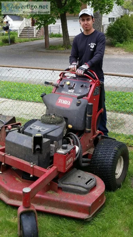 Professional Landscaping
