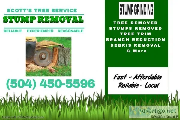 Tree Service Stump Removal