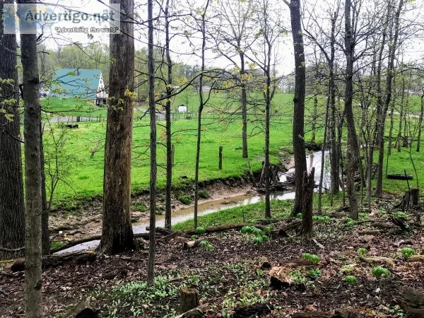 Mini Farm for sale