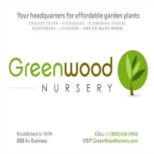 Fast Growing Chestnut Trees for Orchards