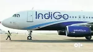 Urgent Hiring in INDIGO AIRLINES Walk-In INTERVIEWS and Next Day