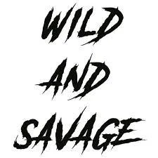 Wild Card Weekend