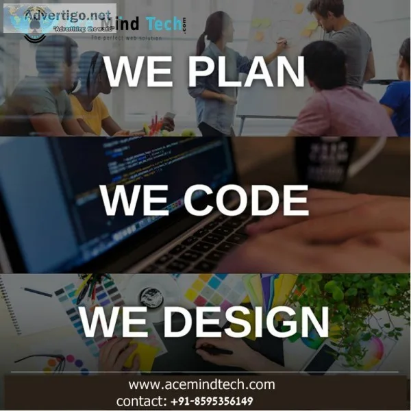 Website Development in Delhi Ncr