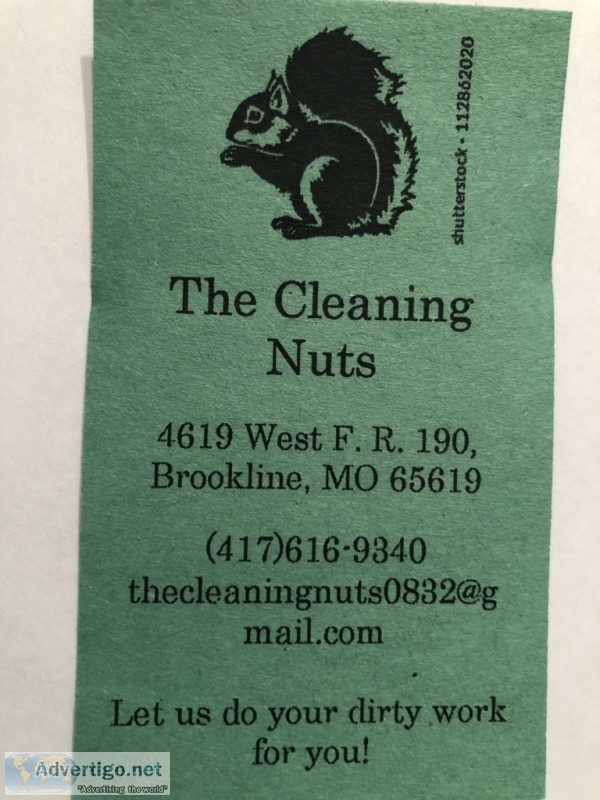 Professional Housecleaning