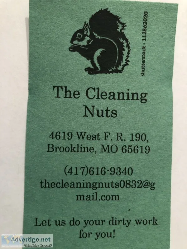 Professional Housecleaning