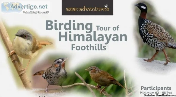Himalayan Foothills Tours
