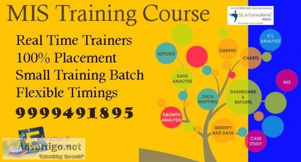 Attend Best MIS Training Course in Delhi at SLA Consultants Indi