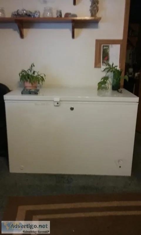 General Electric 10.6 cubic Ft Chest Freezer