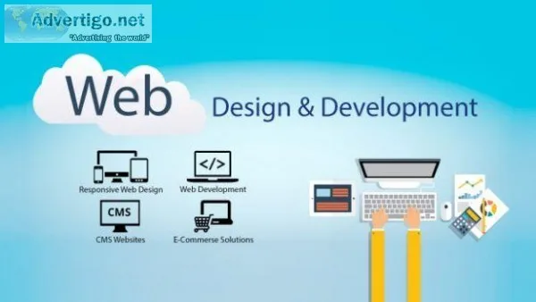 Web Design Development Packages