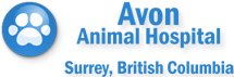 Best Veterinary Clinic in Surrey - Avon Animal Hospital