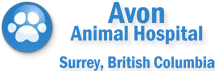 Best Veterinary Clinic in Surrey - Avon Animal Hospital