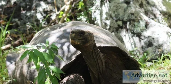 Best Vacation in Ecuador