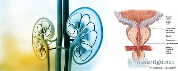 Get medically assisted treatment from urologist in West Delhi
