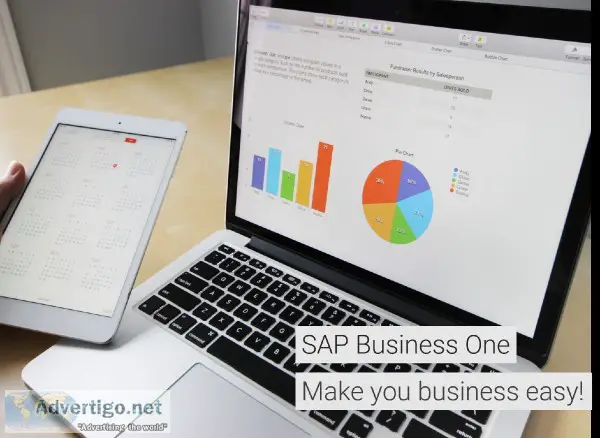 SAP Small Business Solutions - Vestrics