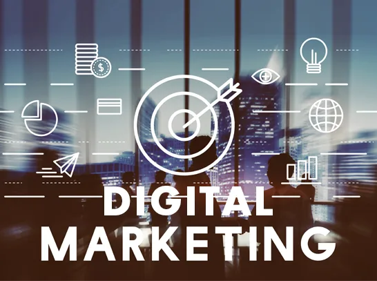 Digital Marketing Company in India - Veiview