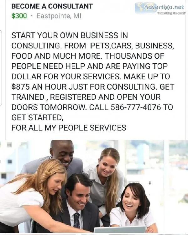 Become a Consultant