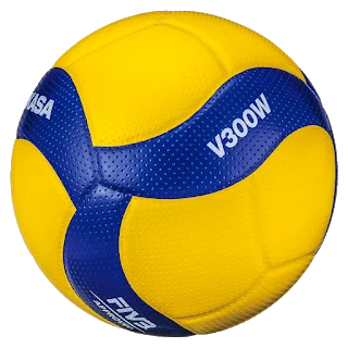 Mikasa V300W - FIVB Approved