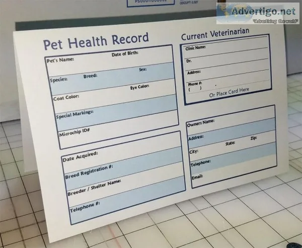 Pet (Dog  Cat) Medical Records