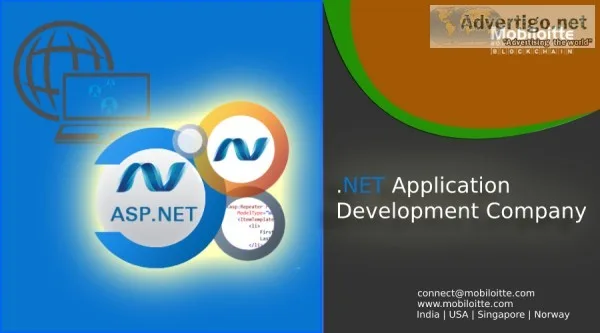 .Net Application Development Services