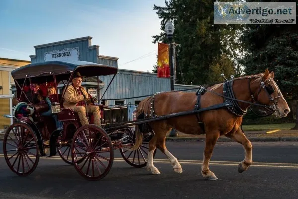 Carriage Business