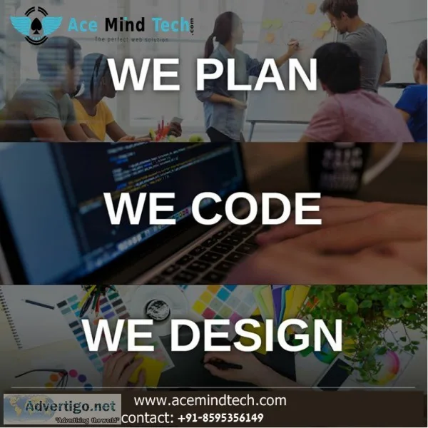 Website Development in Delhi Ncr
