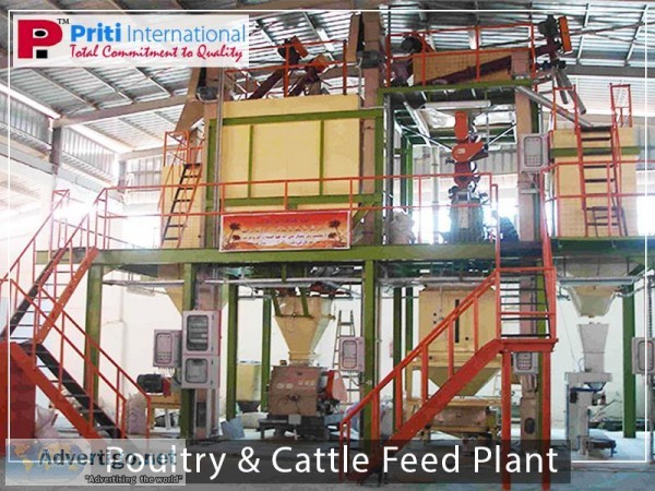 Enhance the growth of your cattle and poultry with healthy feeds