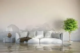 Water damage Flood damage clean up and extraction (ALL AREAS)