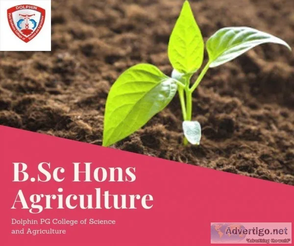 B.Sc Hons Agriculture