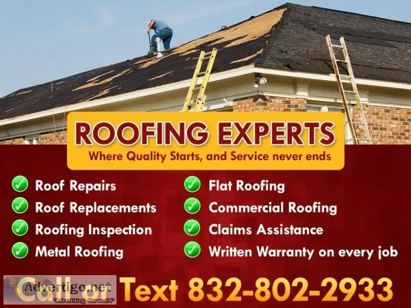 Professional Roofing