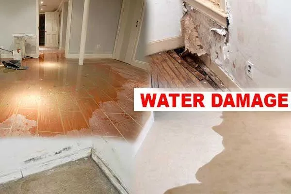 Water Damage Restoration - Licensed and Insured