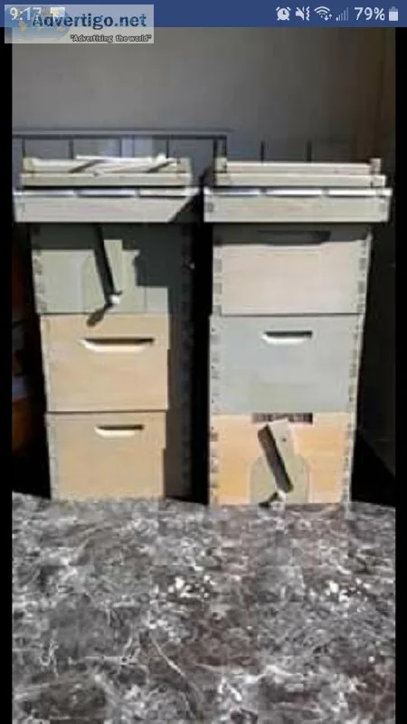 (2) 7 FRAME FLOWHIVE HYBRID HIVES W 8 FRAME DEEPS