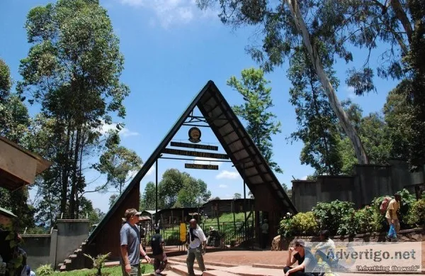 Affordable Kilimanjaro Trekking Tours