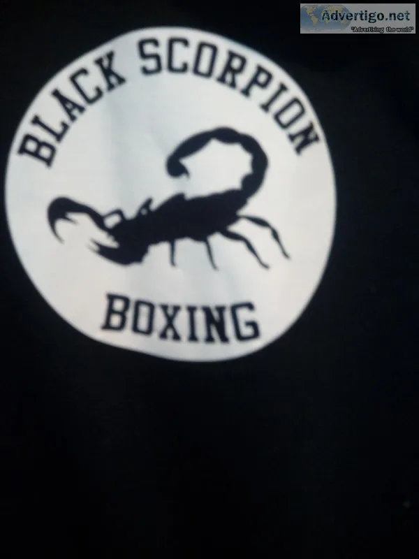 Private Boxing Lessons