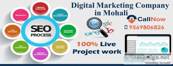 Seo Training in Mohali