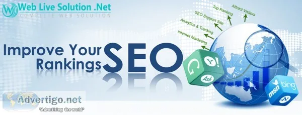 SEO Services Company in Delhi