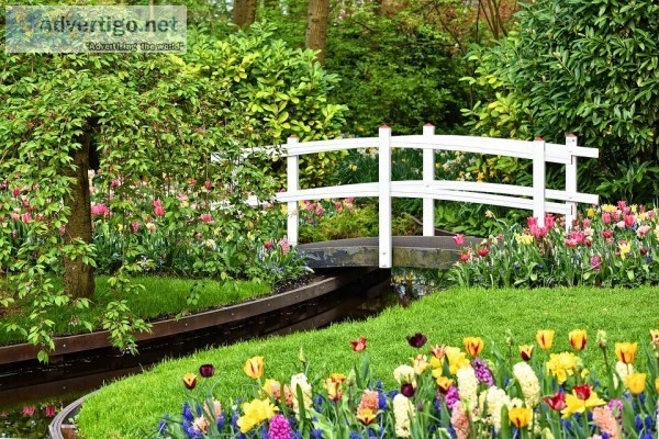 Garden Design Services in Dublin