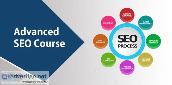 SEO Training in India