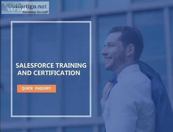 9036363007 Join Salesforce Course