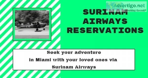 Seek your adventure in Miami with your loved ones via Surinam Ai
