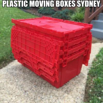Plastic packing boxes for moving in Sydney by Koala Box