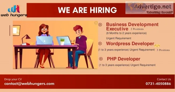 Hire wordpress developer and codeigniter