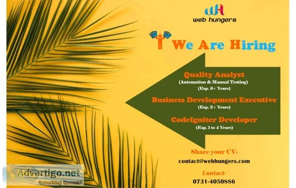 Hire wordpress developer and codeigniter