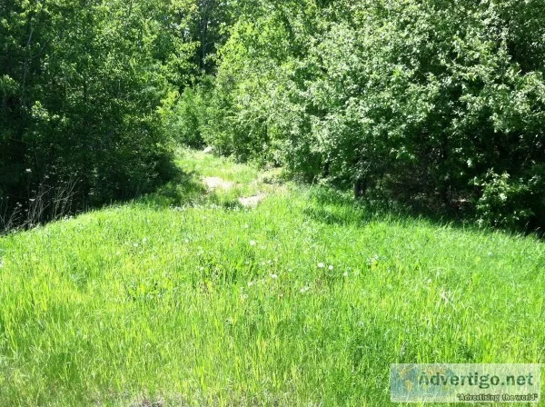 6.8 acres wooded land