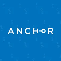 Social Media Marketing Agency Brisbane  Anchor Digital