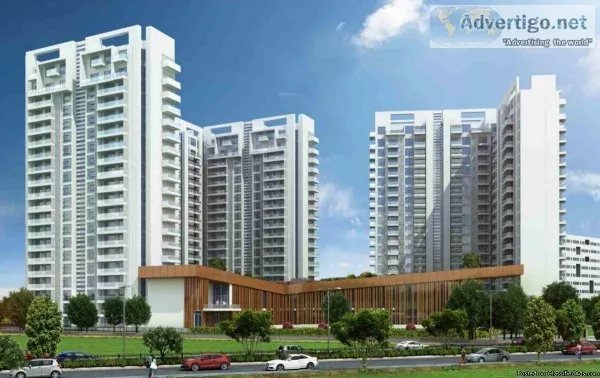 Ambience Creacions  2 BHK   1.42 Lacs Onwards In Gurgaon Sector 