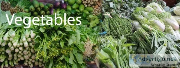 Vegetables Exporters